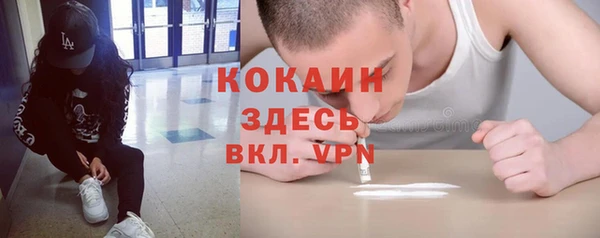 прущие грибы Лагань