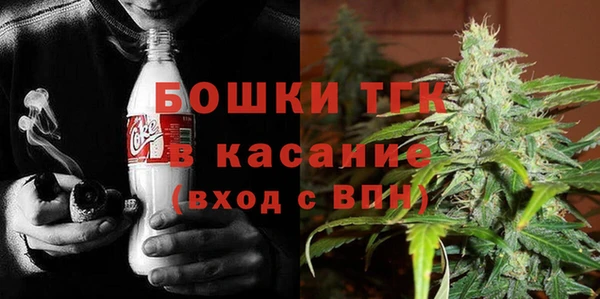 прущие грибы Лагань